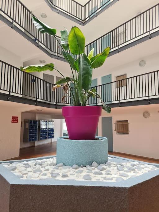 Apartment Magnifique T2 - Le Lagon Bleu